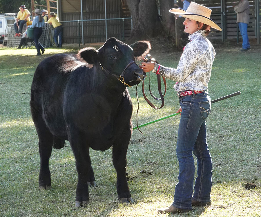 Young Judges & Paraders